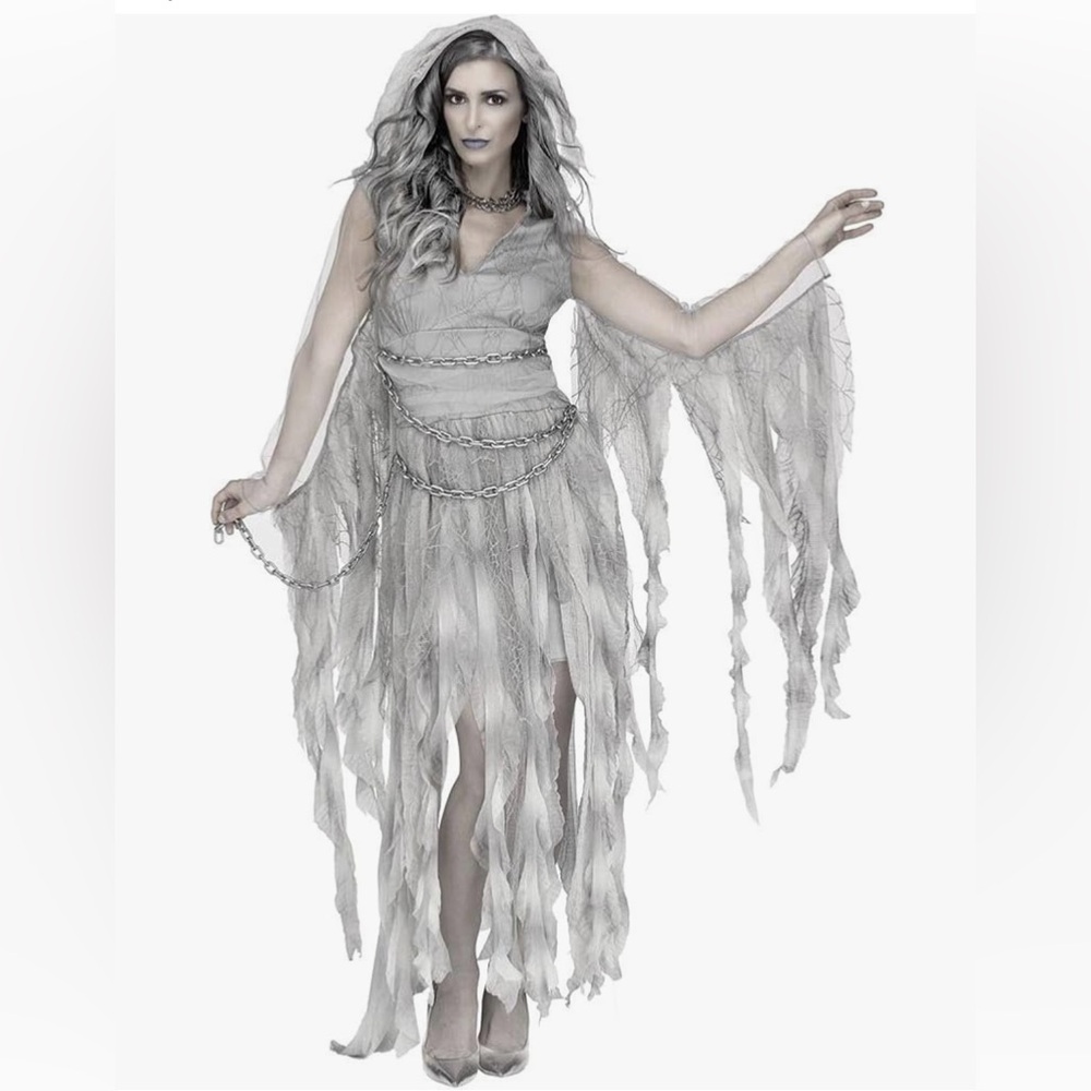 Women's Enchanted Ghost Adult Costume, gray, M/L Size 10-14